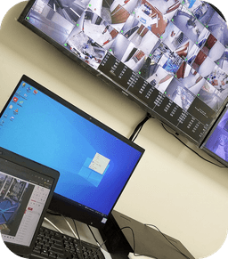 Surveillance Systems